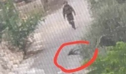 استهداف الشبان قرب مدخل بلدة شوفة