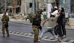 مستوطنون يعتدون على فلسطينيين بحماية من الجيش 