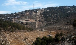 الخليل المحتلة  جنوبي الضفة الغربية (apa)