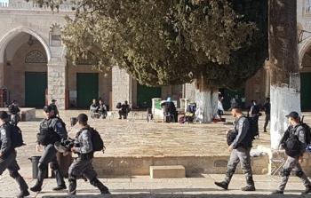 المستوطنون يُواصلون اقتحام الأقصى بحماية قوات الاحتلال