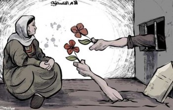 (كاريكاتير محمد سباعنة – الأم الفلسطينية)
