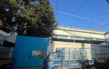 مدرسة فلسطين في مخيم البرج الشمالي