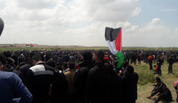 الإضراب الشامل يعم فلسطين المحتلة.. ومجلس الأمن يفشل في إصدار بيان إدانة للاحتلال