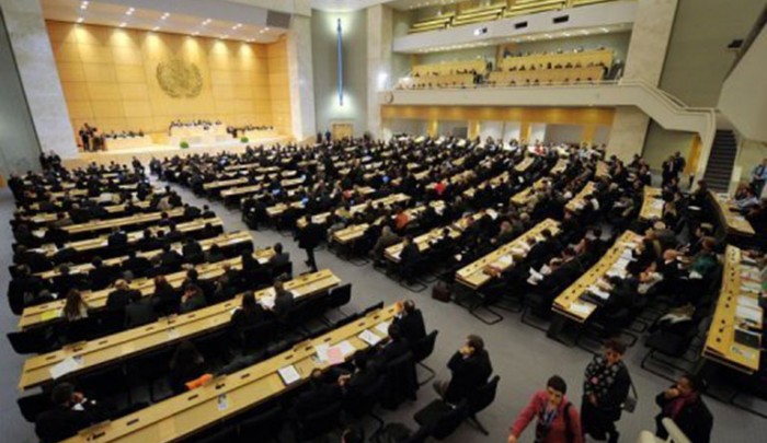 المجلس الاقتصادي والاجتماعي في الأمم المتحدة يعتمد قراراً مُناصراً للمرأة الفلسطينية