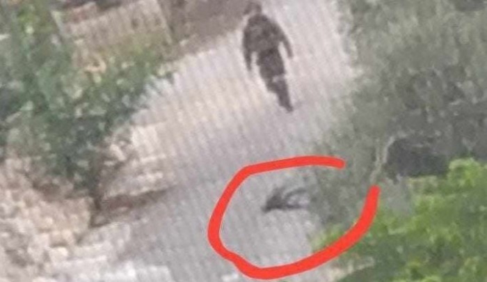 استهداف الشبان قرب مدخل بلدة شوفة