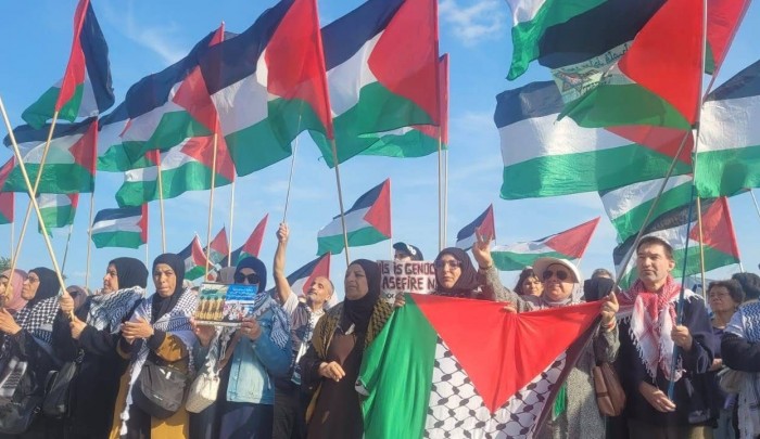 مظاهرة في برلين تطالب بوقف حرب الإبادة على غزة، أرشيفية