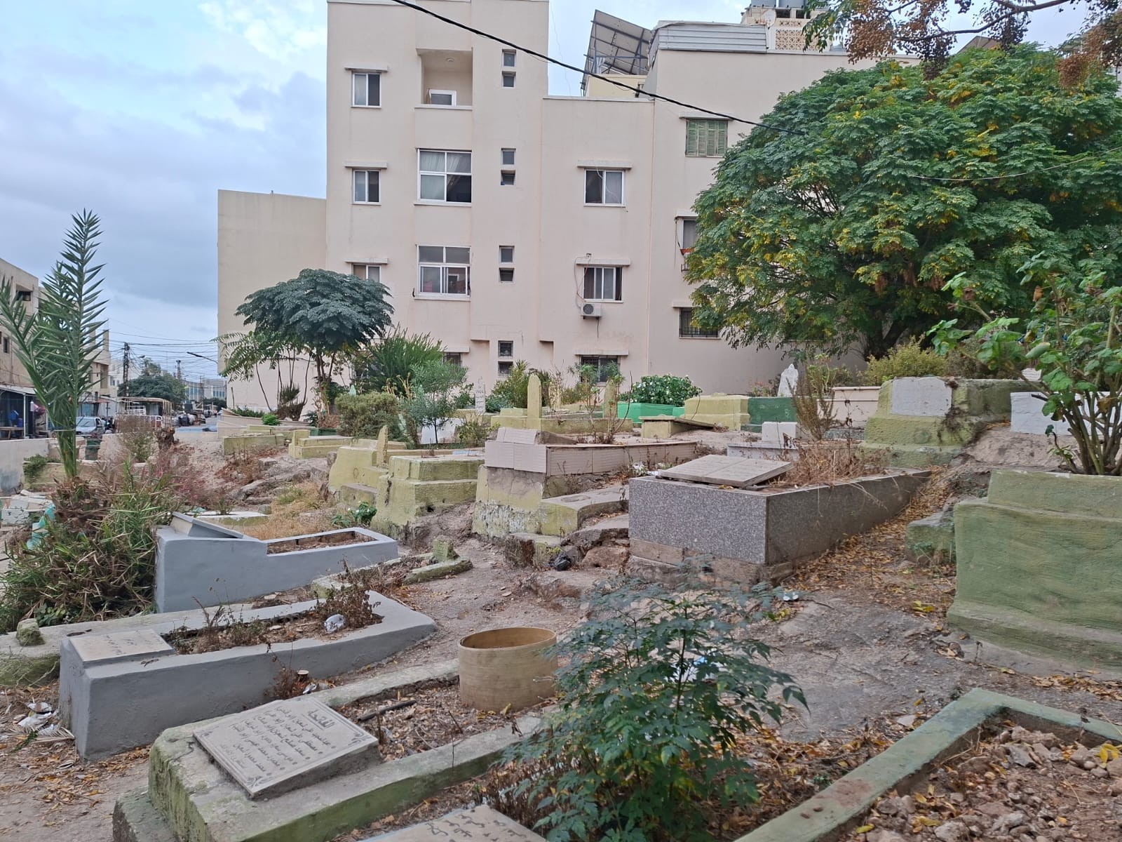 WhatsApp Image 2025-11-13 at 5.15.30 PM (1).jpeg