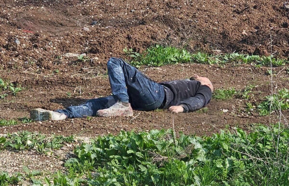 WhatsApp Image‏ 2025-12-26 at 15.28.15.jpeg