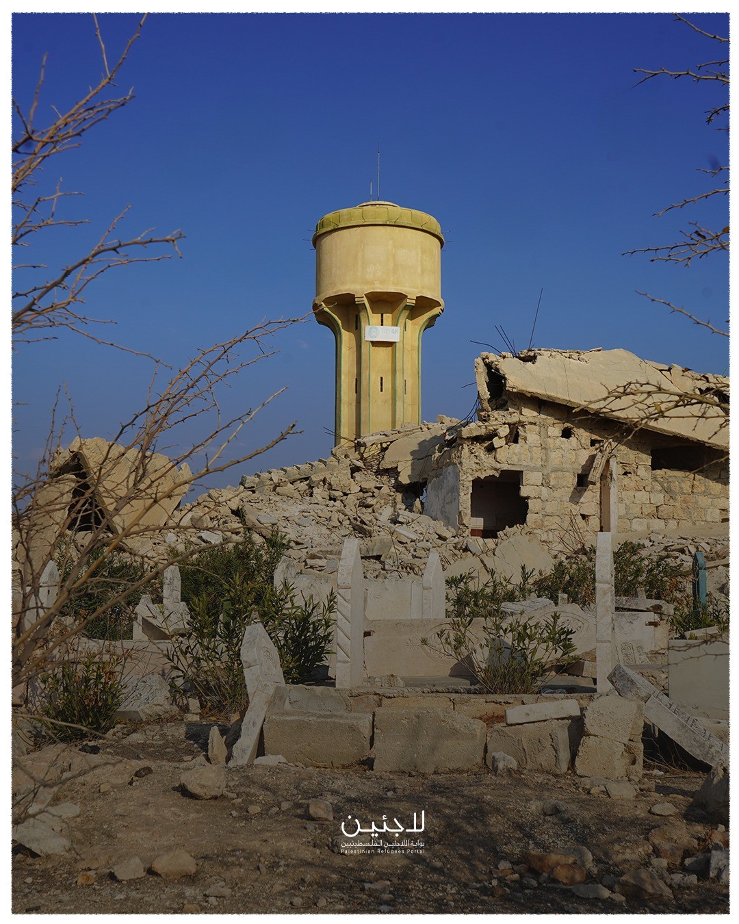 WhatsApp Image‏ 2025-11-30 at 12.16.46 (3).jpeg