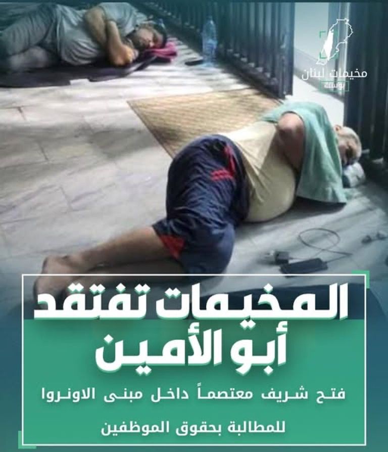 WhatsApp Image‏ 2026-01-19 at 16.28.18.jpeg