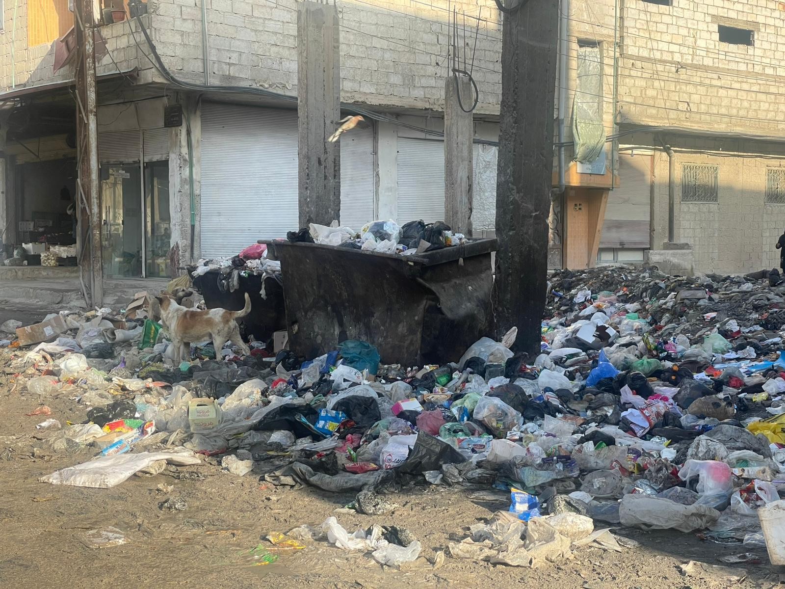 WhatsApp Image‏ 2026-03-16 at 14.12.17.jpeg