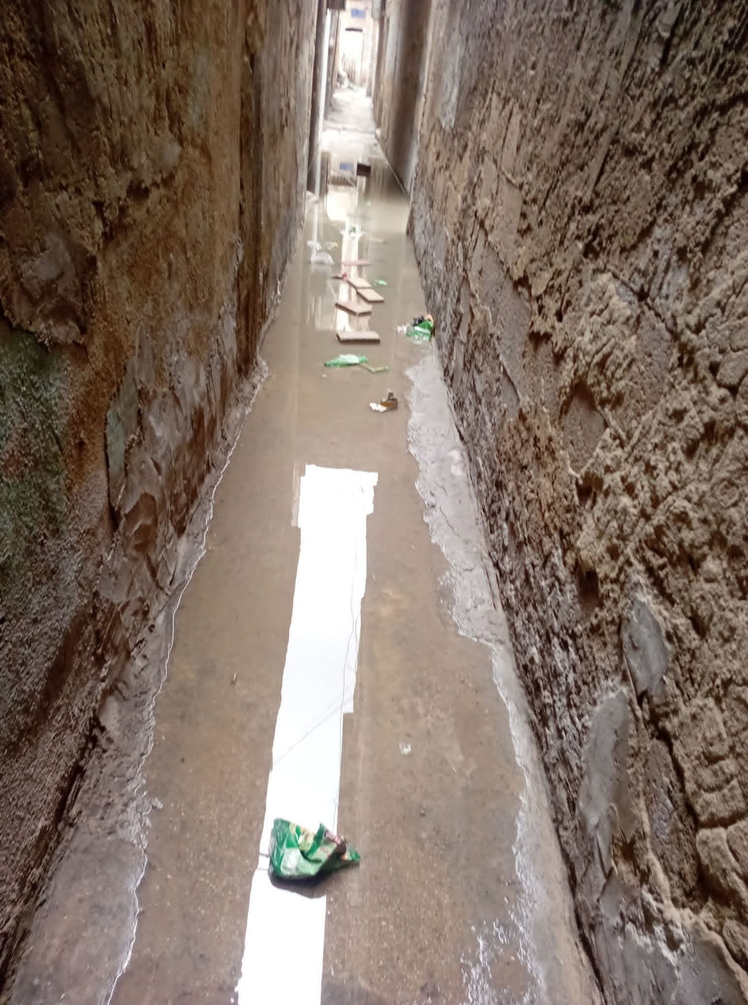 WhatsApp Image 2026-03-23 at 3.31.13 PM (3).jpeg