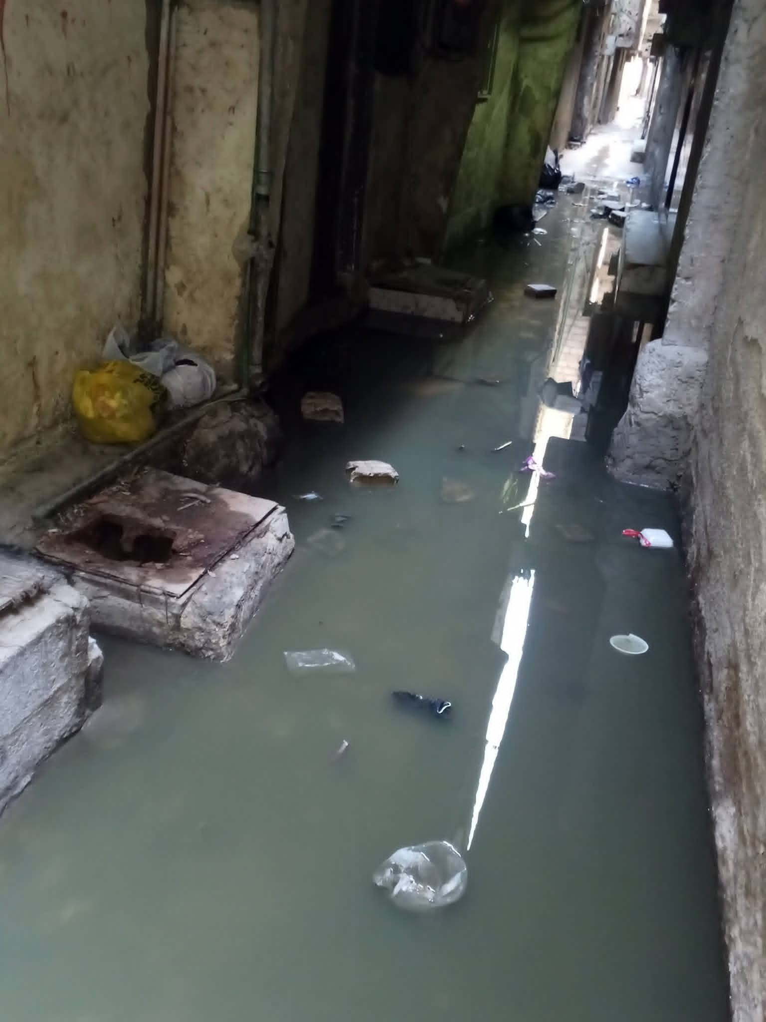 WhatsApp Image 2026-03-23 at 3.31.13 PM.jpeg